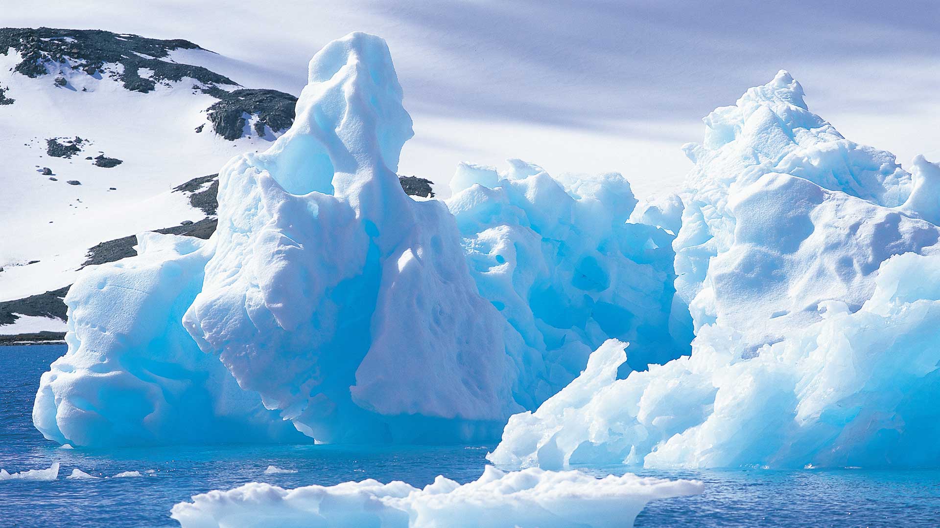 南極 北極観光ガイド 地球の歩き方