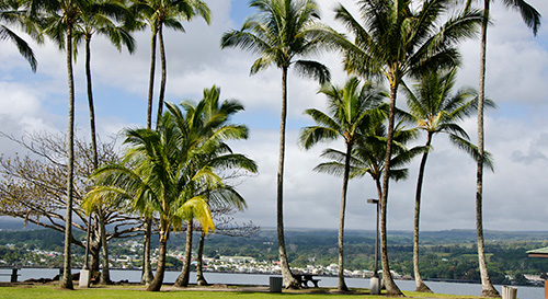 ハワイ島 ヒロ ハワイ の旅行 観光ガイド 地球の歩き方