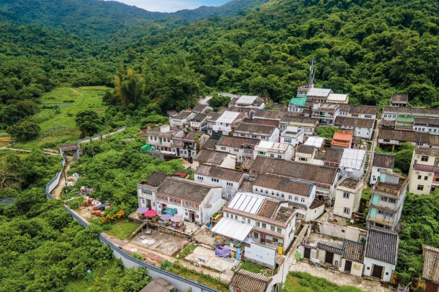 緑豊かな香港の茘枝窩へプチトリップ！300年の歴史をもつ客家の村を散策しよう