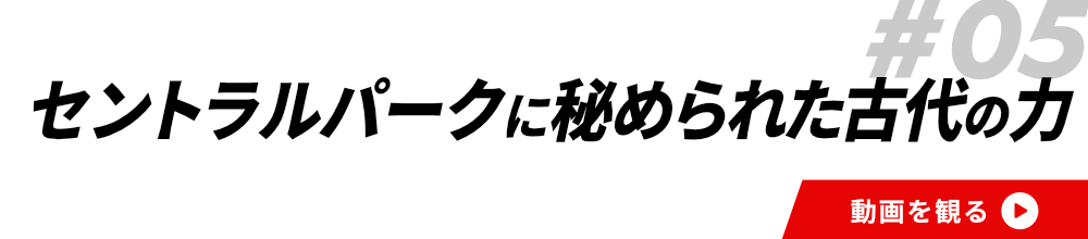 #05予算$100でNYのお土産をゲットせよ! 後編