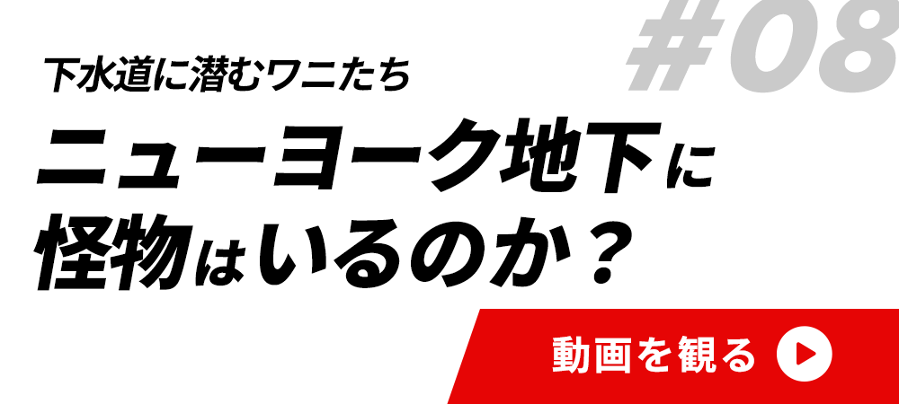 #08ニューヨーク地下に怪物はいるのか？