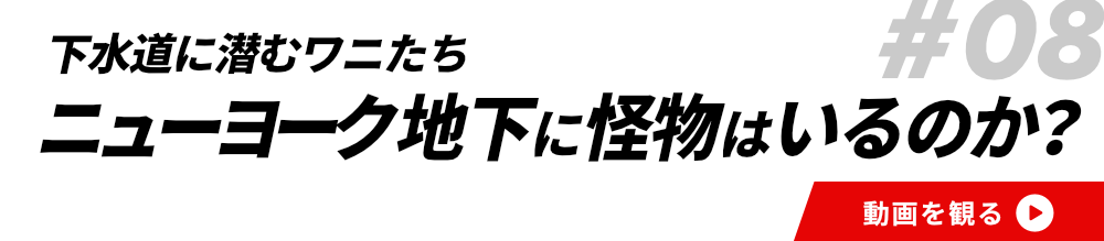 #08ニューヨーク地下に怪物はいるのか？