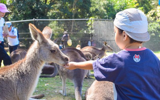 子供が生まれたらまず「パスポート」取得。親子旅から広がる、未来の旅支度