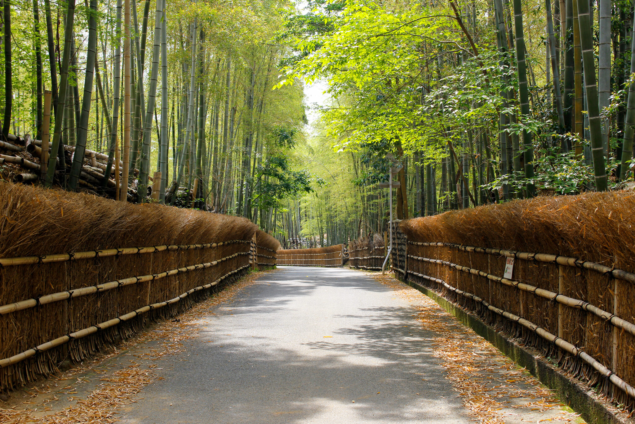 【京都府・向日市】職人の手技が光る8種類の竹垣が堪能できる「竹の径」 | 地球の歩き方