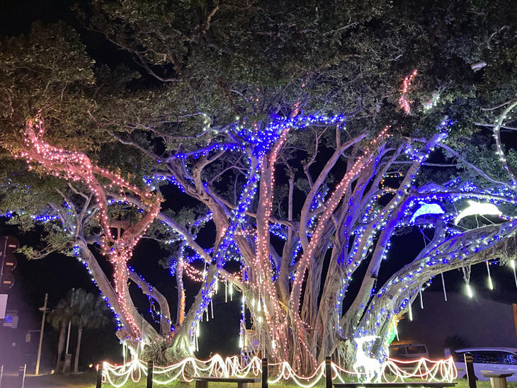 0468.jpgのサムネイル画像