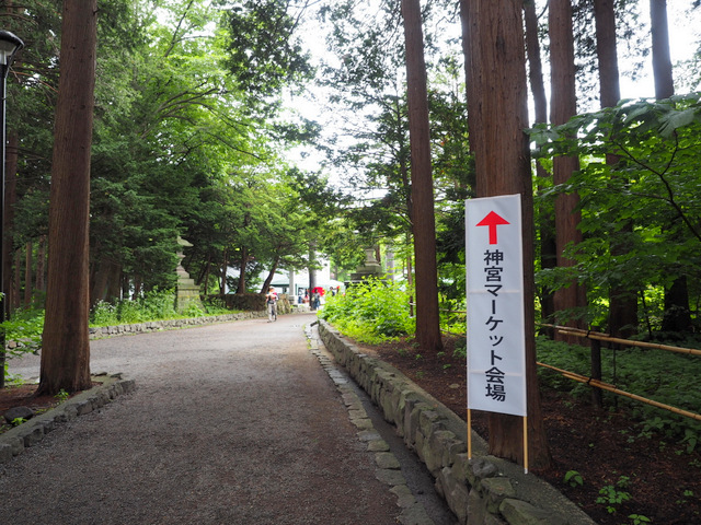 OLYMPUSDIGITALCAMERA