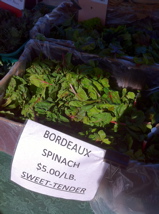 BordeauxSpinach.jpg