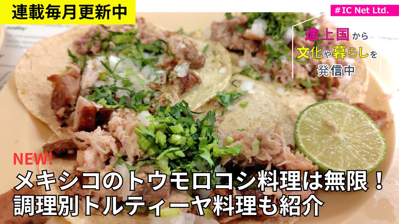 ウェブマガジン連載　毎月更新中！