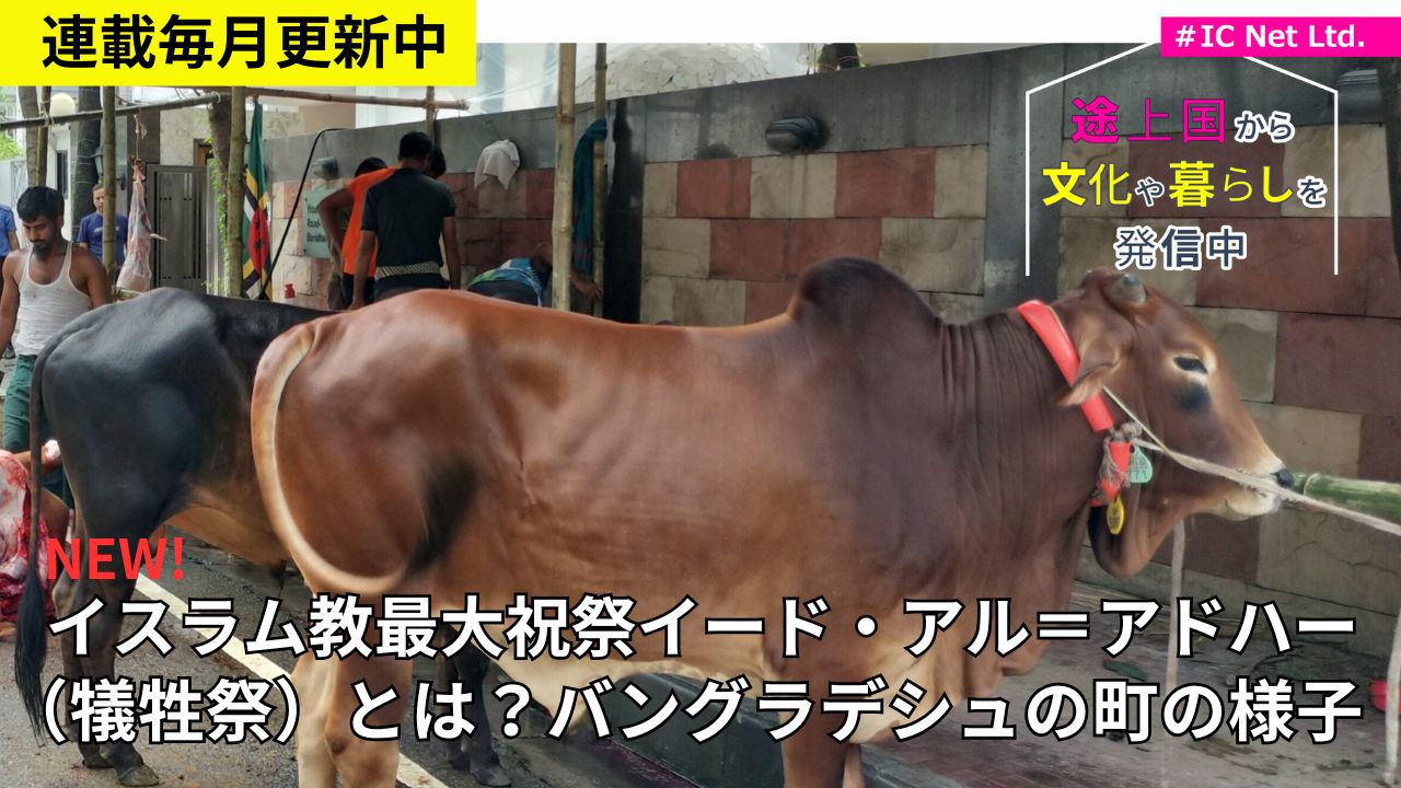ウェブマガジン連載　毎月更新中！