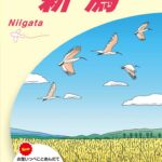 ガイドブックの画像