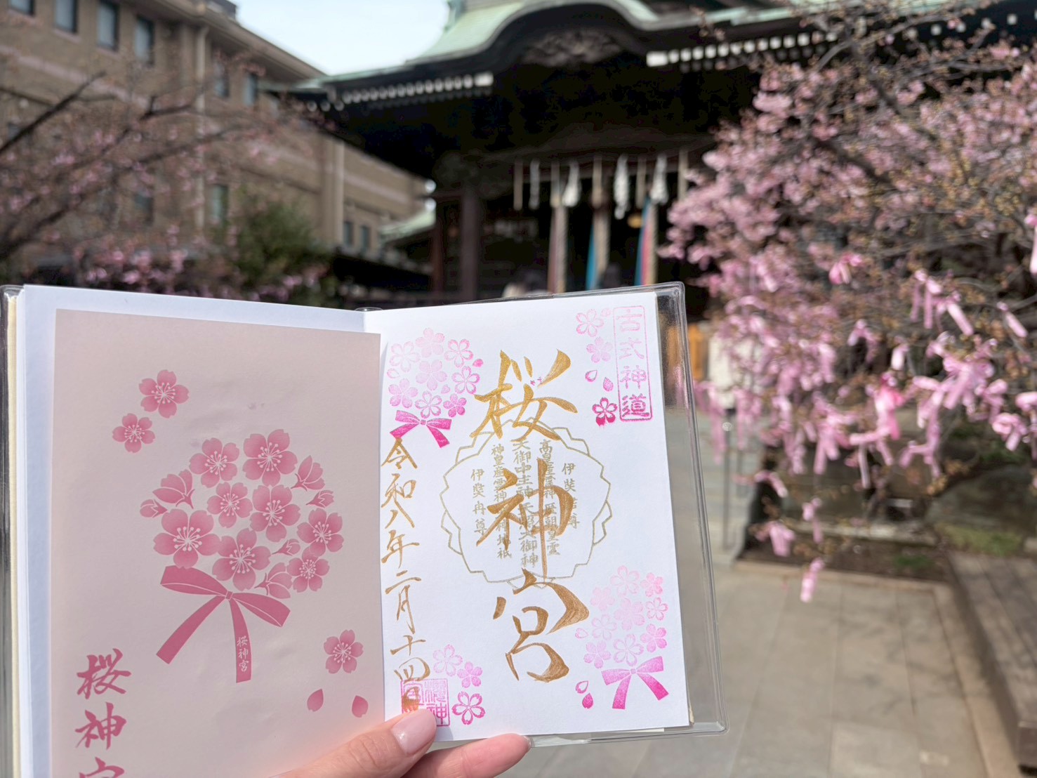 東京】桜神宮の河津桜で一足先に春を満喫！ | 地球の歩き方