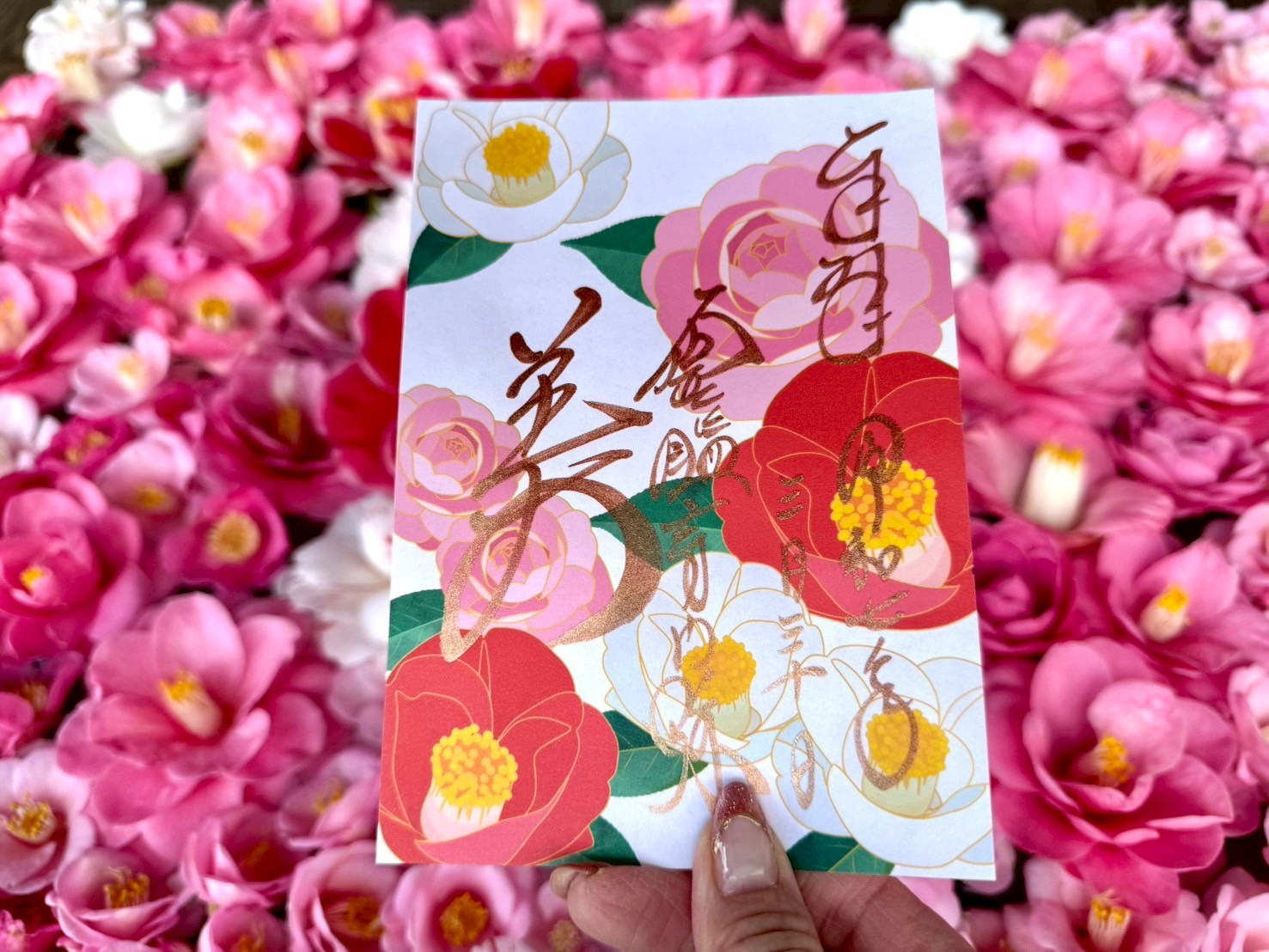 京都】霊鑑寺は椿が見ごろ！ここだけのお花見を楽しんで | 地球の歩き方