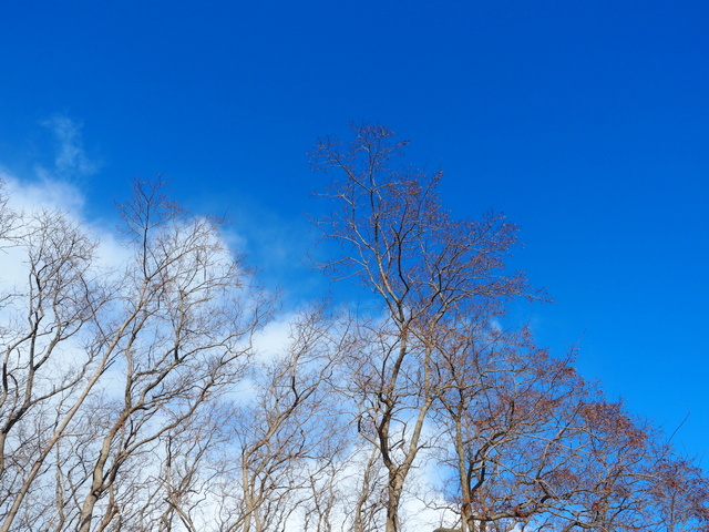 Shinko-higashi,Ishikari-shi