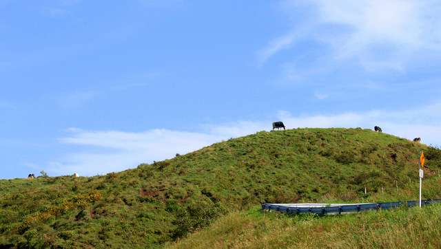 OLYMPUSDIGITALCAMERA