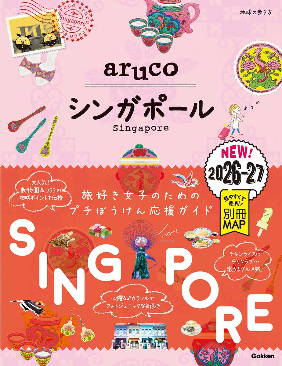 D32 地球の歩き方 パキスタン 2007～2008 | 地球の歩き方