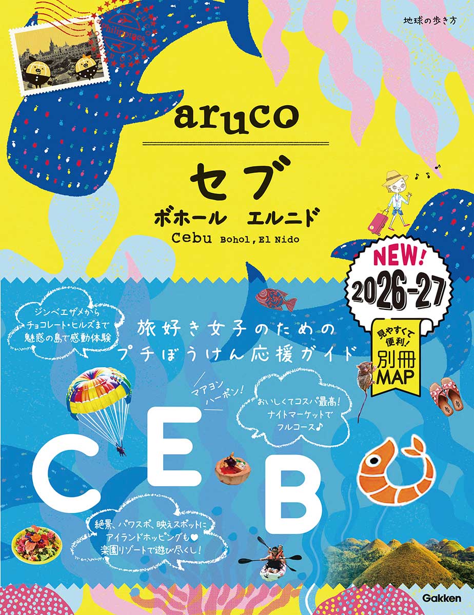D32 地球の歩き方 パキスタン 2007～2008 | 地球の歩き方