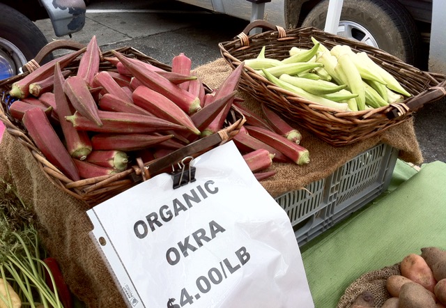 okra-m-1.jpg
