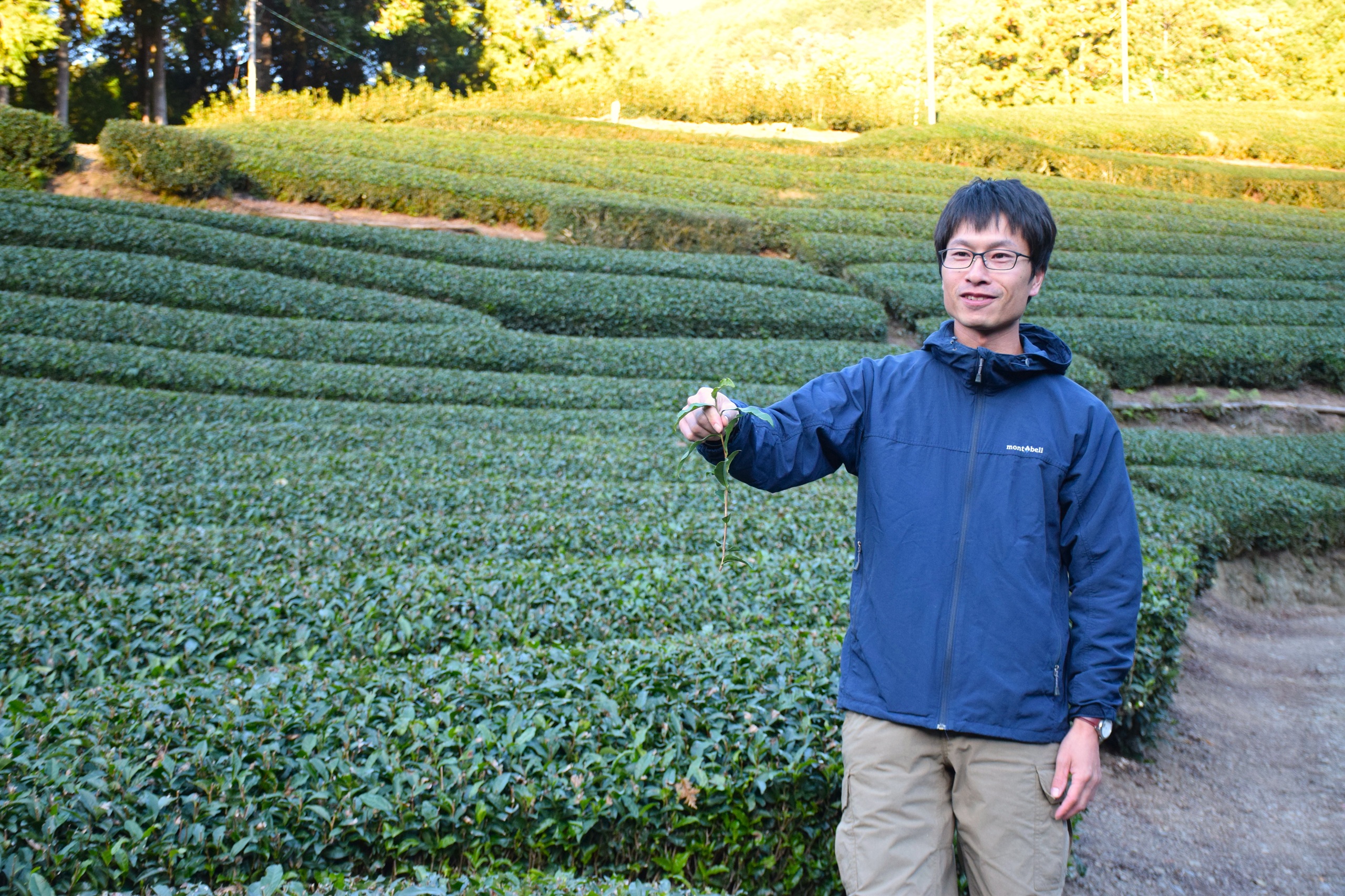 静岡オクシズ】茶畑を見下ろすテラスでほっと一息。手仕事で継がれる自