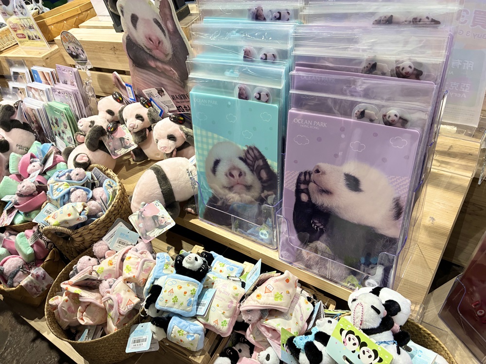 香港オーシャンパーク】双子の赤ちゃんパンダに会いに行こう！ | 地球