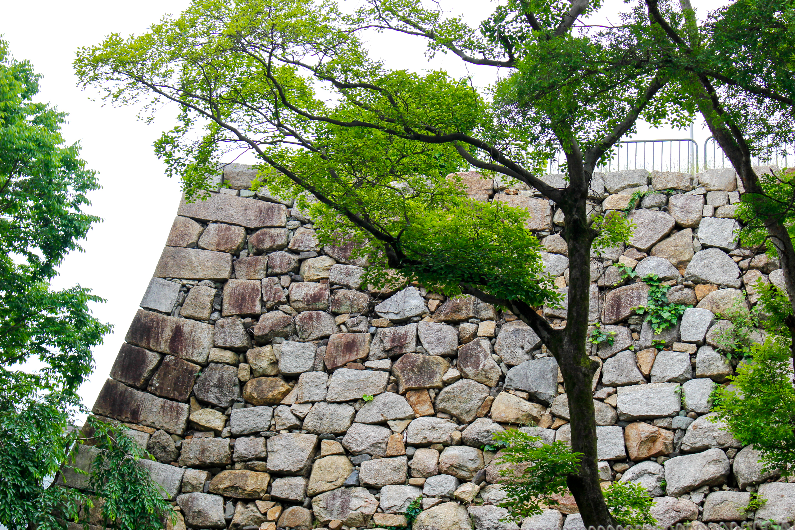 京都】徳川幕府が築いた淀城と秀吉の側室・茶々ゆかりの淀古城 | 地球