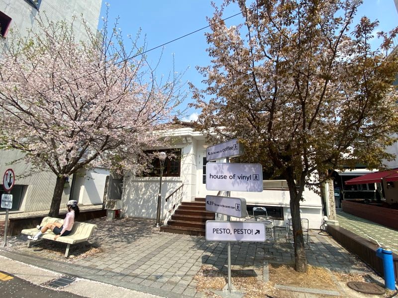 韓国・ソウル】桜の時期に立ち寄りたい望遠洞のおしゃれカフェ